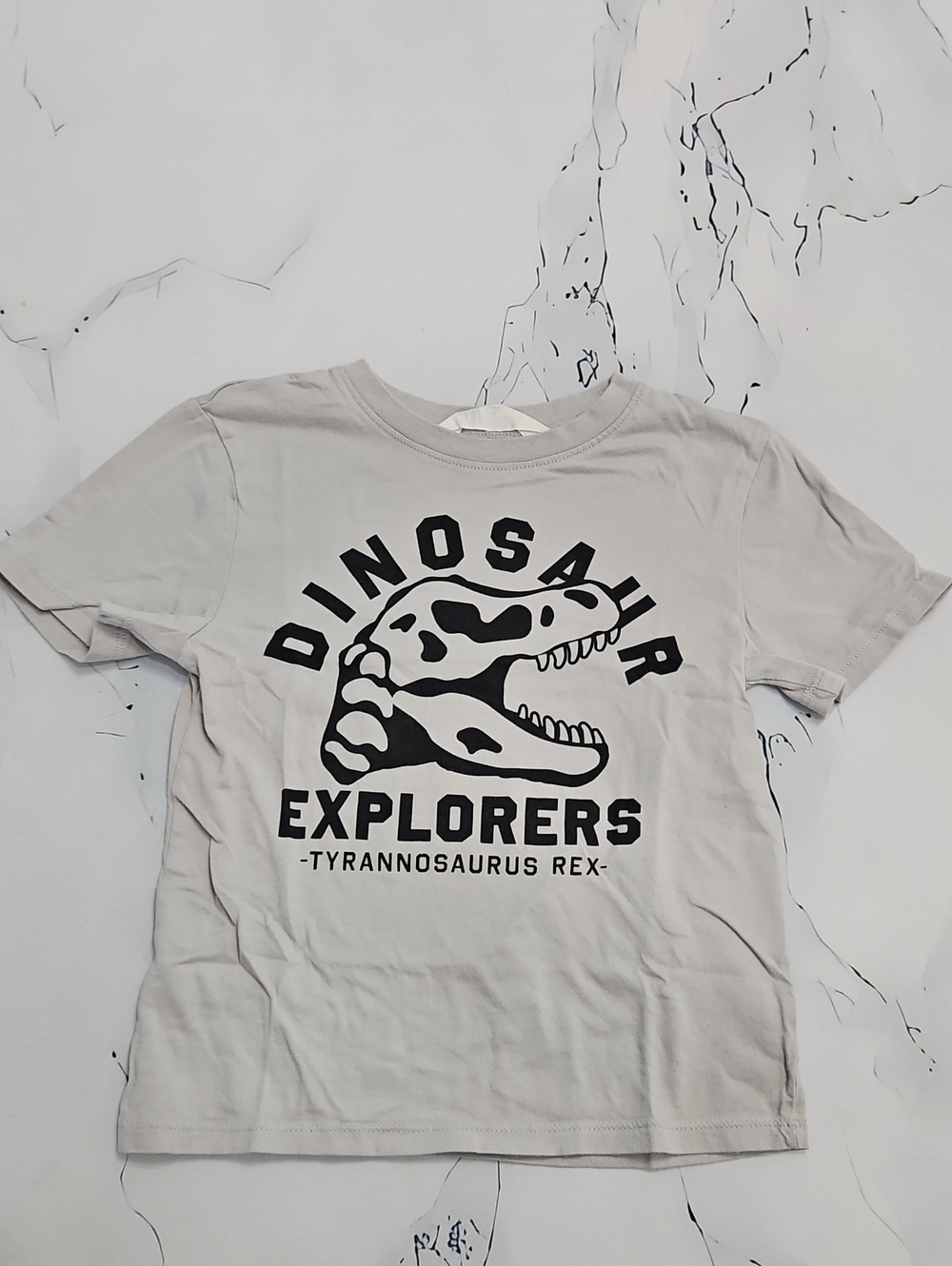 H&M Dinosaur Explorers Tee - Light Gray